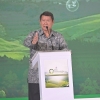 Forum ESG, Hashim Apresiasi Peran Aktif Perdagangan Karbon Indonesia, Terbesar dari PLN