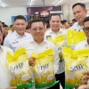 Pemerintah Tingkatkan Kolaborasi untuk Kendalikan Harga Beras di 214 Kabupaten/Kota