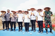 Pemerintah Tegaskan Harga Jagung Petani Minimal Rp 5.500 per Kg Hingga Akhir 2025