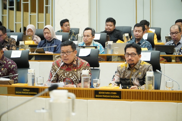 Penganggaran Terencana, NFA Usulkan 16,10 Triliun untuk Perkuat Ketahanan Pangan Nasional 2026