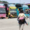 Mudik Gratis 2024, Kemnhub Siapkan 772 Bus