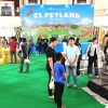 CL PETLAND – Mal Ciputra Jakarta, Calling all Animals Lovers! 