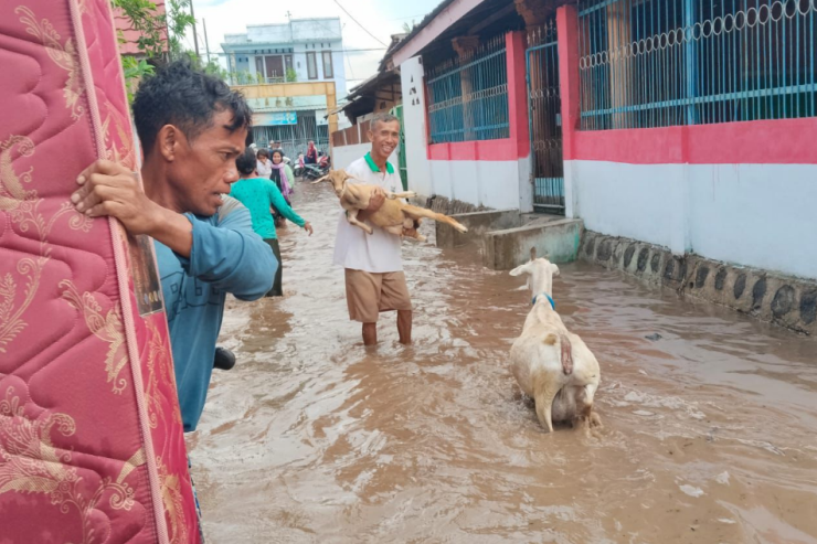 BNPB Koordinasikan Penanganan Banjir di Bima dan Karawang, Ribuan Warga Terdampak