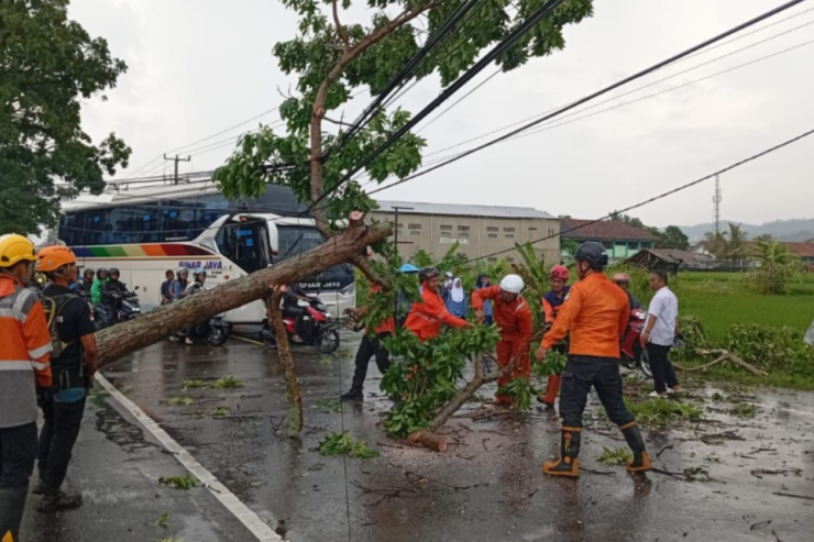 Pemain Garuda Select, David Maulana