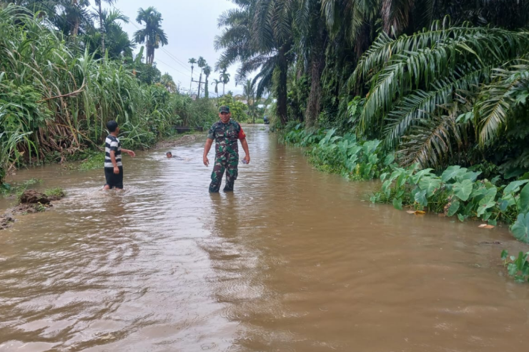 Pemain Garuda Select, David Maulana