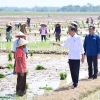 Cawapres Mahfud Respon Jokowi soal Pupuk di Jateng. 