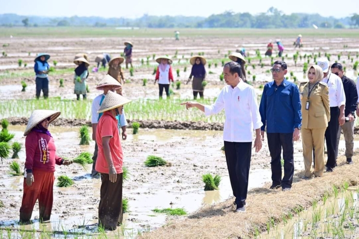 Cawapres Mahfud Respon Jokowi soal Pupuk di Jateng. 