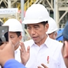 Jokowi: Divestasi 10 Persen Saham Freeport Indonesia