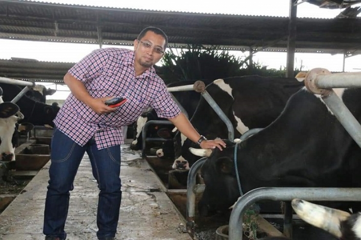 ID FOOD Mulai Mobilisasi Sapi Hidup guna Jaga Stabilitas Harga Daging Jelang HBKN Puasa dan Idul Fitri 