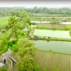 Mengenal Desa Rejoagung, Potensi Desa Meningkat Setelah Program Penataan Akses Reforma Agraria