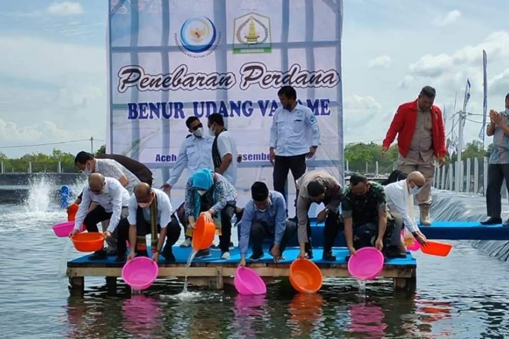 Aceh Timur Sukses Jadi Program Revitalisasi Tambak Nasional 