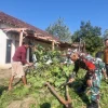 Perkembangan Situasi dan Penanganan Bencana di Tanah Air, 23 September 2025