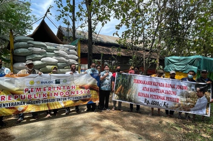 BULOG Siap Laksanakan Penugasan Penyediaan Dan Penyaluran Jagung