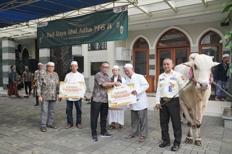 Rayakan Idul Adha, Brantas Abipraya Salurkan 208 Hewan Qurban 