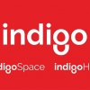 Indigo Lakukan Rebranding Setelah Delapan Tahun Didirikan