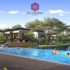 Mulberry Residence dengan Konsep Hunian Teduh