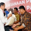 Jokowi Ungkap Biang Kerok Indonesia Sulit Stop Impor Beras