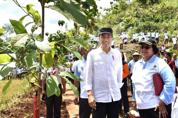 Indonesia Harus Terus Konsisten Jalankan Program Pemulihan Lingkungan 