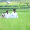 Jajaki Jalan Setapak Sawah, Menteri Hadi Bagikan 500 Sertifikat