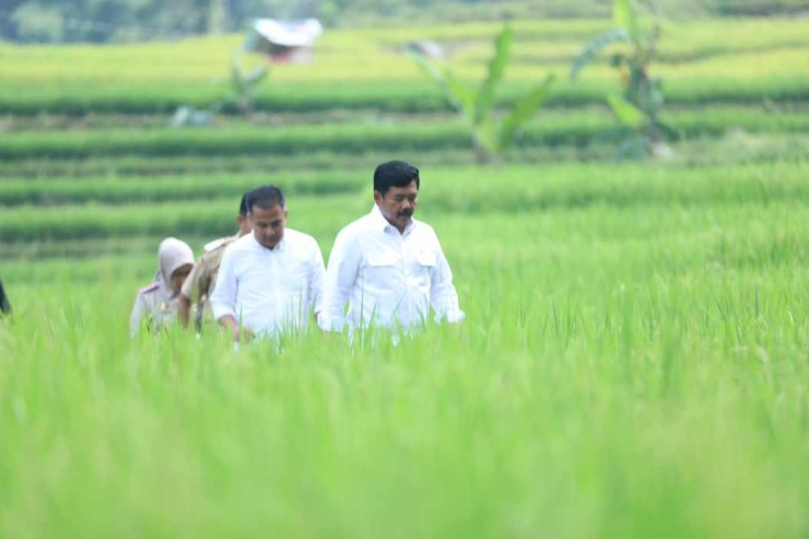 Jajaki Jalan Setapak Sawah, Menteri Hadi Bagikan 500 Sertifikat