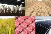 WMPP, Perusahaan Consumer Goods & Komoditas Agrikultur Terdepan di Indonesia