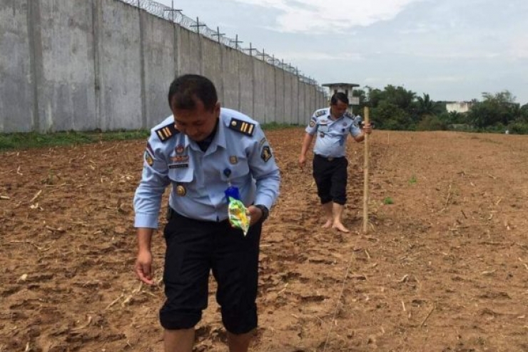 Lapas Gunung Sugih Kembali Tanam Jagung Manis