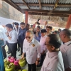 Perluasan Kanal Penyaluran SPHP Beras, Koperasi Merah Putih Jadi Solusi