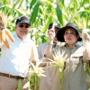 Jogja Benih Expo, Badan Pangan Nasional Bantu Jaga Harga Petani Jagung