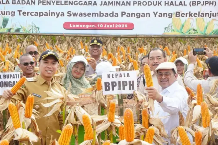 Apresiasi Panen Jagung PRG, Babe Haikal: Dukung Ketahanan Pangan dan Penguatan Ekosistem Halal Nasional