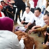 Bentuk Koperasi Merah Putih dengan Utamakan Captive Market, Solusi Badan Pangan Nasional Gapai Keberlanjutan Usaha