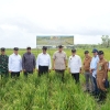 Kementerian PU Integrasikan Infrastruktur Air dan Jalan, Dukung KSPP Wanam Merauke sebagai Lumbung Pangan di Indonesia Timur