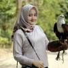 Free Flight Bird Show Di Taman Wisata Lembah Hijau 