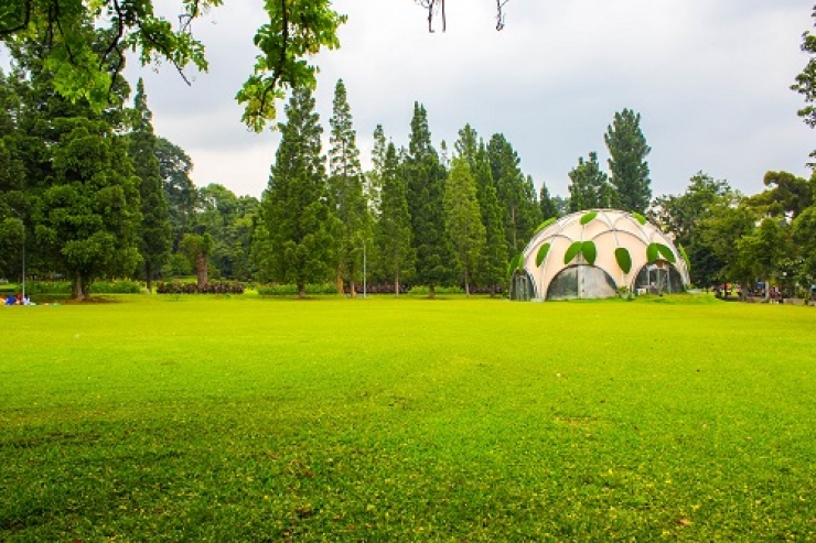 DYAN Ekspansi ke Bisnis Pengelolaan Kebun Raya 