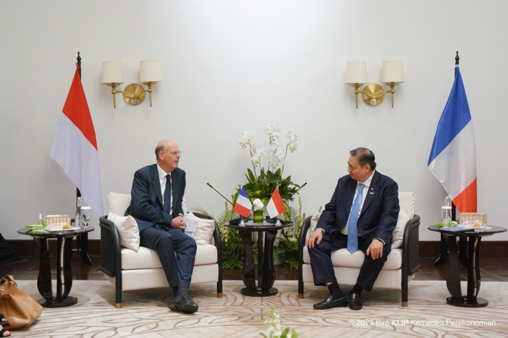 Menko Airlangga dan Menteri Prancis Bahas  Penguatan Investasi, Perdagangan, dan Energi Bersih