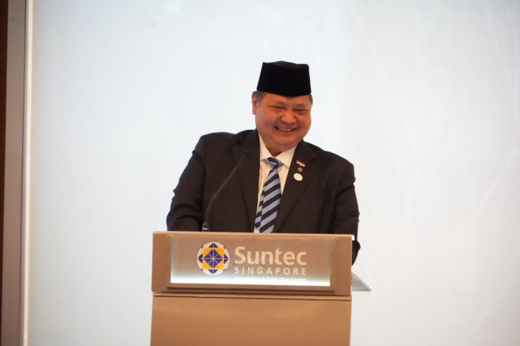 Indonesia Perkuat Diplomasi Ekonomi, Airlangga Hartarto Dorong Investasi Singapura ke Kawasan BBK